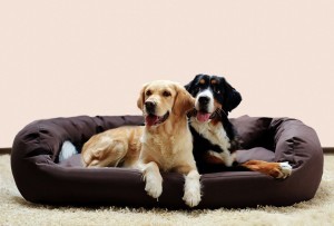 hundecouch best Hundecouch Tierlando