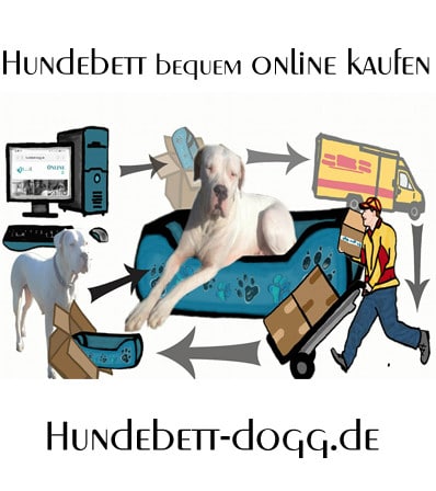 Hundebetten bequem online kaufen