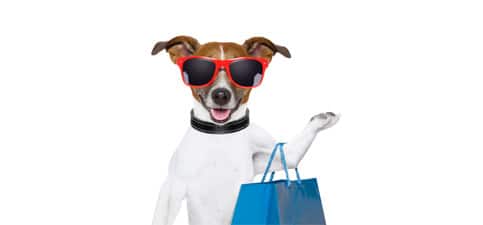 Hundebetent online kaufen