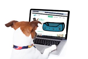 Hundebett-dogg-Logo-startseite.jpg
