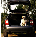 Kofferraum Hundebetten Kofferraum Hundebetten