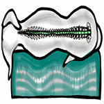 Orthopädische Hundebetten Orthopädische Hundebetten